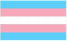 Transgender Flag